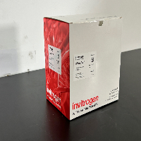 Invitrogen RNaseZap Solution image 0